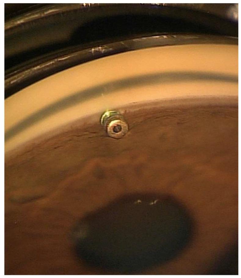 https://cdn.ncbi.nlm.nih.gov/pmc/blobs/6e14/12388915/f5ac12ca7bb6/pharmaceutics-17-01087-g006.jpg