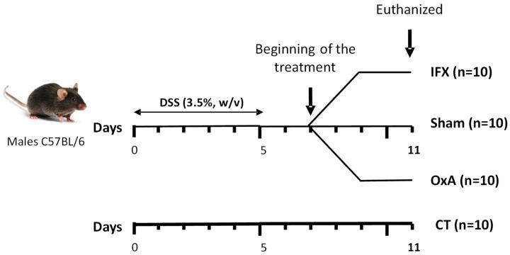 https://cdn.ncbi.nlm.nih.gov/pmc/blobs/6e15/10253642/fc9cb46ef615/ijms-24-09554-g001.jpg