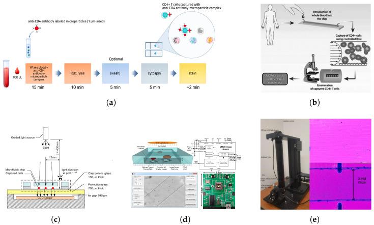 https://cdn.ncbi.nlm.nih.gov/pmc/blobs/6e16/11763704/437164fb45aa/biosensors-15-00033-g005.jpg