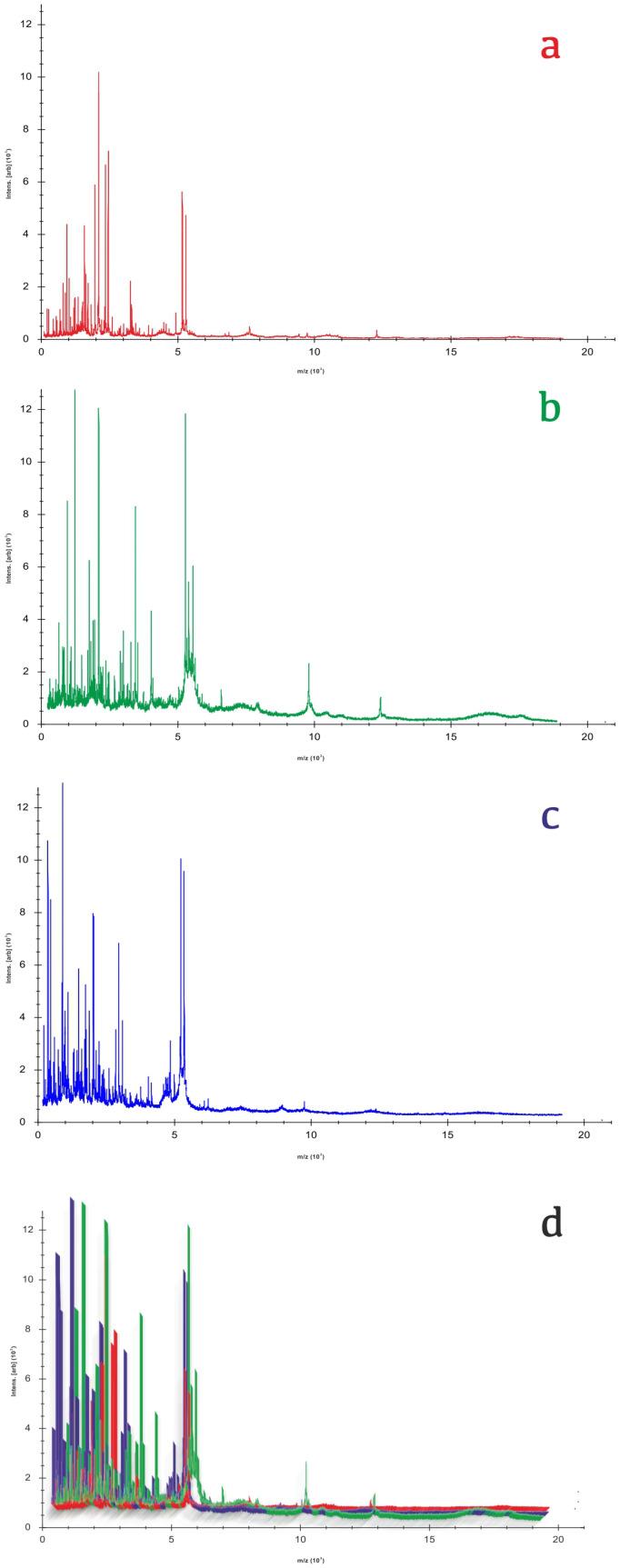 https://cdn.ncbi.nlm.nih.gov/pmc/blobs/6e18/12101317/01447241ffd5/biotech-14-00033-g003.jpg