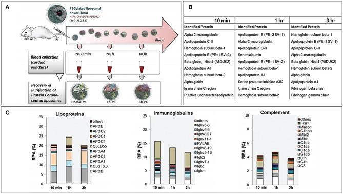 https://cdn.ncbi.nlm.nih.gov/pmc/blobs/6e19/7145938/4d3d6ea6acbf/fbioe-08-00166-g0002.jpg