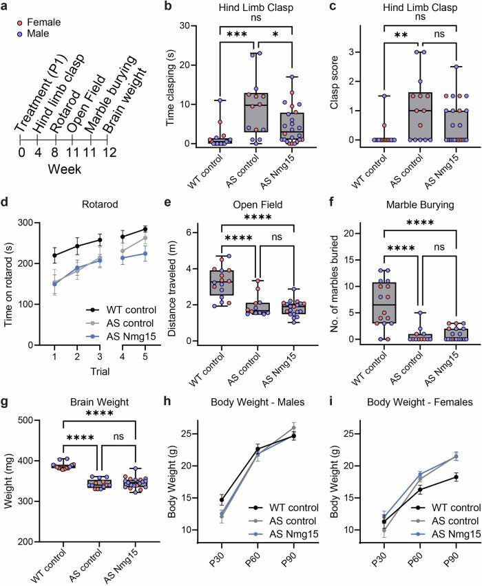 https://cdn.ncbi.nlm.nih.gov/pmc/blobs/6e1a/12405439/2860e1b91dd6/42003_2025_8794_Fig4_HTML.jpg