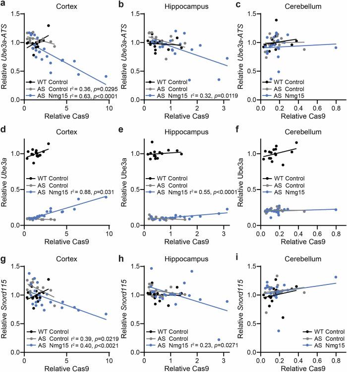 https://cdn.ncbi.nlm.nih.gov/pmc/blobs/6e1a/12405439/ed3f1826dd04/42003_2025_8794_Fig7_HTML.jpg