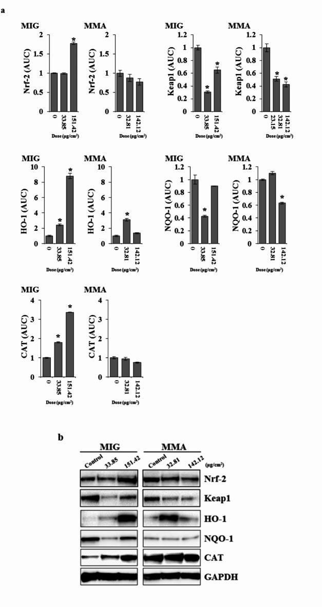 https://cdn.ncbi.nlm.nih.gov/pmc/blobs/6e1c/11473639/845553856ea5/41598_2024_74599_Fig5_HTML.jpg
