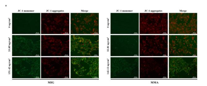 https://cdn.ncbi.nlm.nih.gov/pmc/blobs/6e1c/11473639/887aeeb83717/41598_2024_74599_Fig2_HTML.jpg