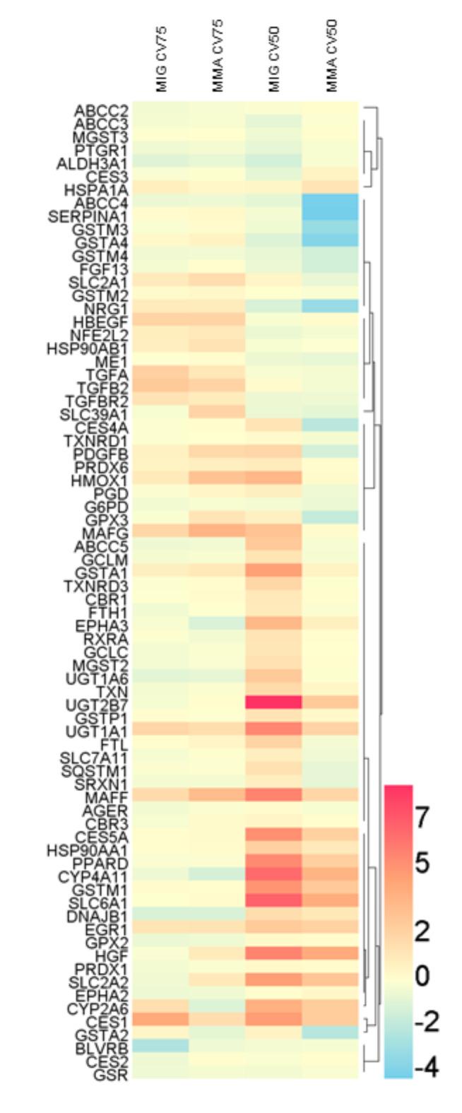 https://cdn.ncbi.nlm.nih.gov/pmc/blobs/6e1c/11473639/d83bec019e32/41598_2024_74599_Fig6_HTML.jpg