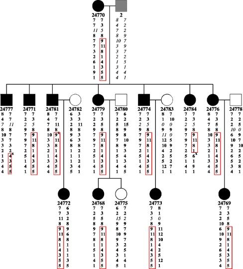https://cdn.ncbi.nlm.nih.gov/pmc/blobs/6e1d/2757615/ad55788722b5/10048_2007_113_Fig1_HTML.jpg