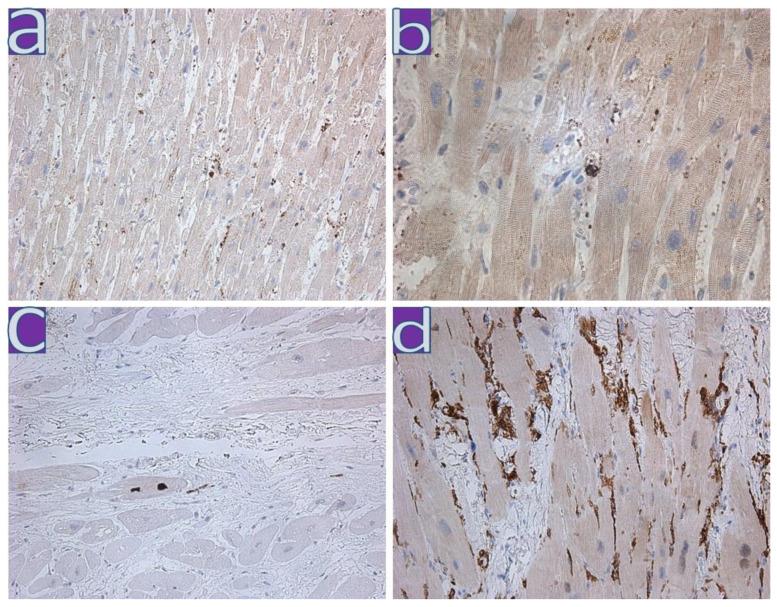 https://cdn.ncbi.nlm.nih.gov/pmc/blobs/6e1e/10178873/3a7ce2269329/diagnostics-13-01645-g003.jpg