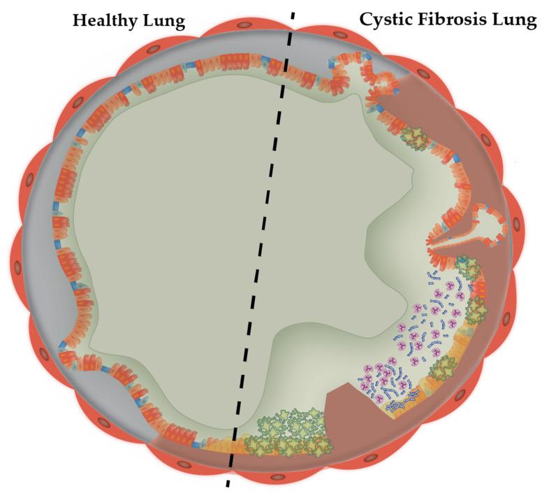 https://cdn.ncbi.nlm.nih.gov/pmc/blobs/6e1e/9318996/9fc1e55951c7/microorganisms-10-01269-g001.jpg
