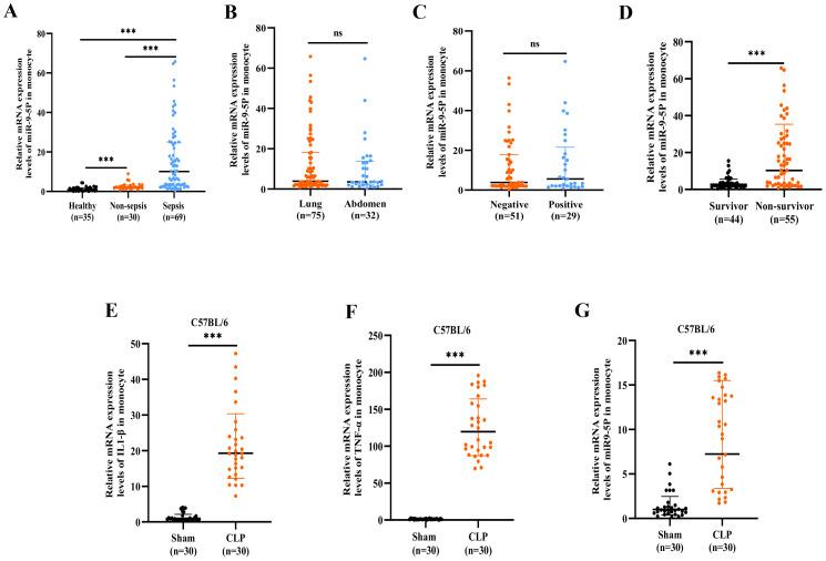 https://cdn.ncbi.nlm.nih.gov/pmc/blobs/6e1f/12052792/ad33de928aff/fcimb-15-1509496-g004.jpg