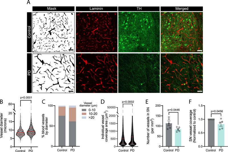 https://cdn.ncbi.nlm.nih.gov/pmc/blobs/6e22/10282096/4395dcdb94ca/41467_2023_39038_Fig8_HTML.jpg