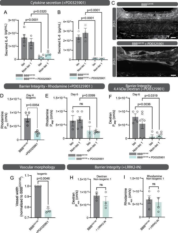 https://cdn.ncbi.nlm.nih.gov/pmc/blobs/6e22/10282096/6f578634f5cd/41467_2023_39038_Fig6_HTML.jpg