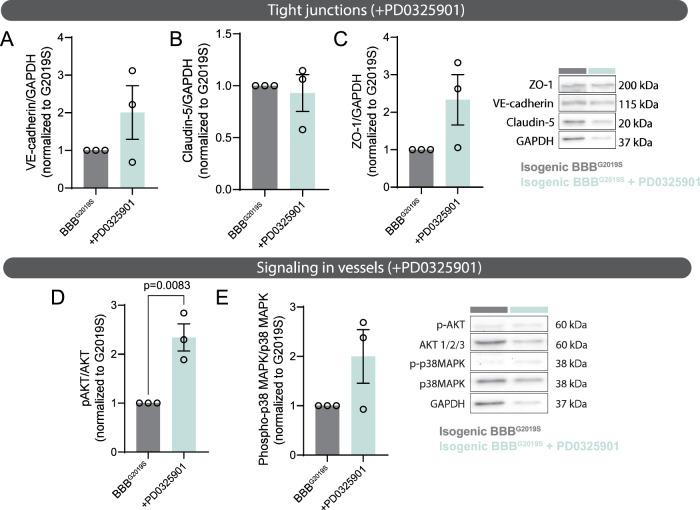 https://cdn.ncbi.nlm.nih.gov/pmc/blobs/6e22/10282096/8b3ffc9081fb/41467_2023_39038_Fig7_HTML.jpg