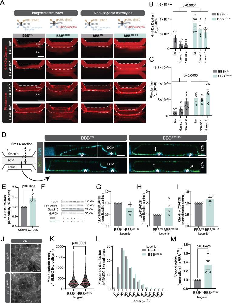 https://cdn.ncbi.nlm.nih.gov/pmc/blobs/6e22/10282096/cbe6c4810447/41467_2023_39038_Fig3_HTML.jpg