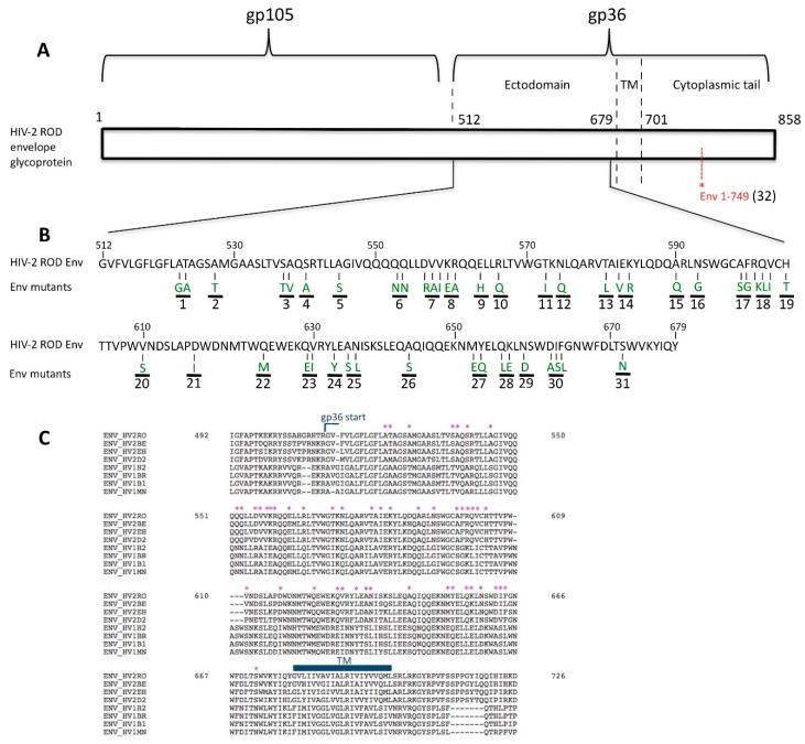 https://cdn.ncbi.nlm.nih.gov/pmc/blobs/6e22/5086617/7d83677bec6b/viruses-08-00285-g001.jpg