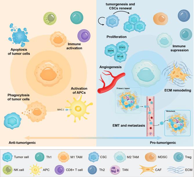 https://cdn.ncbi.nlm.nih.gov/pmc/blobs/6e24/12083052/65384a269509/13046_2025_3377_Fig2_HTML.jpg