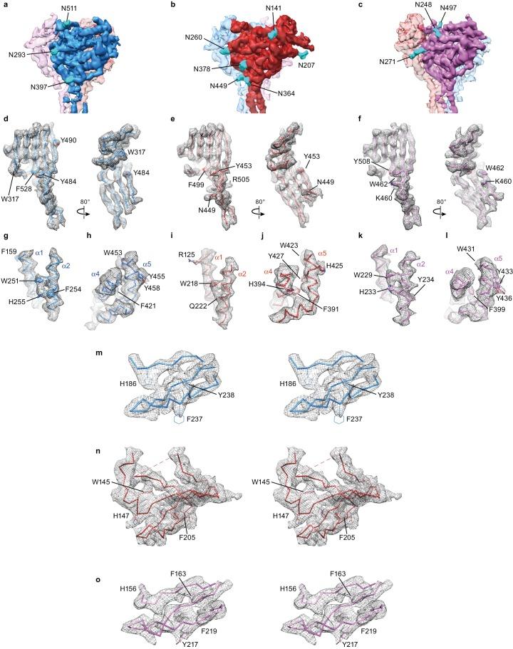 https://cdn.ncbi.nlm.nih.gov/pmc/blobs/6e25/6197857/c2ff2cb466d7/elife-39340-fig4-figsupp1.jpg