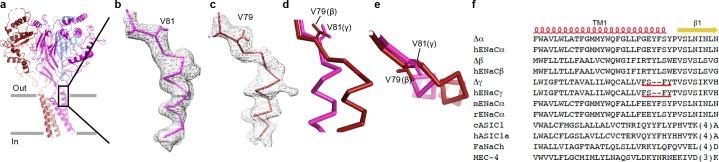 https://cdn.ncbi.nlm.nih.gov/pmc/blobs/6e25/6197857/e01c8012e016/elife-39340-fig6-figsupp1.jpg