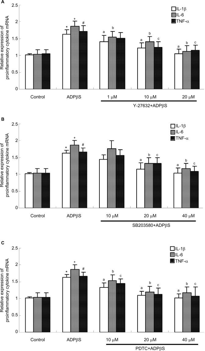 https://cdn.ncbi.nlm.nih.gov/pmc/blobs/6e26/5536317/3373661c512e/jpr-10-1755Fig5.jpg