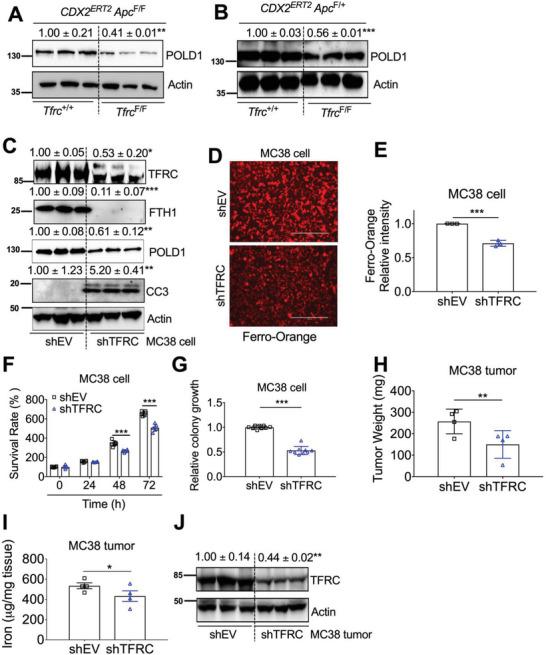 https://cdn.ncbi.nlm.nih.gov/pmc/blobs/6e27/10074045/08abd85d60f4/ADVS-10-2207693-g001.jpg