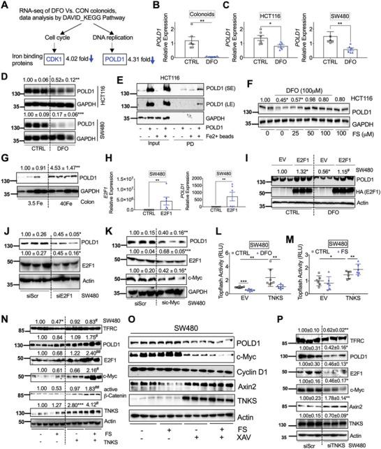 https://cdn.ncbi.nlm.nih.gov/pmc/blobs/6e27/10074045/49e00da1ea7a/ADVS-10-2207693-g007.jpg