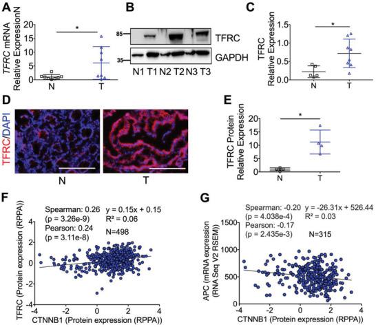 https://cdn.ncbi.nlm.nih.gov/pmc/blobs/6e27/10074045/5d4f0f2ec6d9/ADVS-10-2207693-g008.jpg