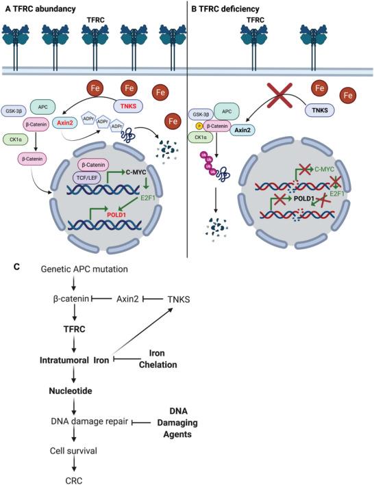 https://cdn.ncbi.nlm.nih.gov/pmc/blobs/6e27/10074045/7019758086dc/ADVS-10-2207693-g002.jpg