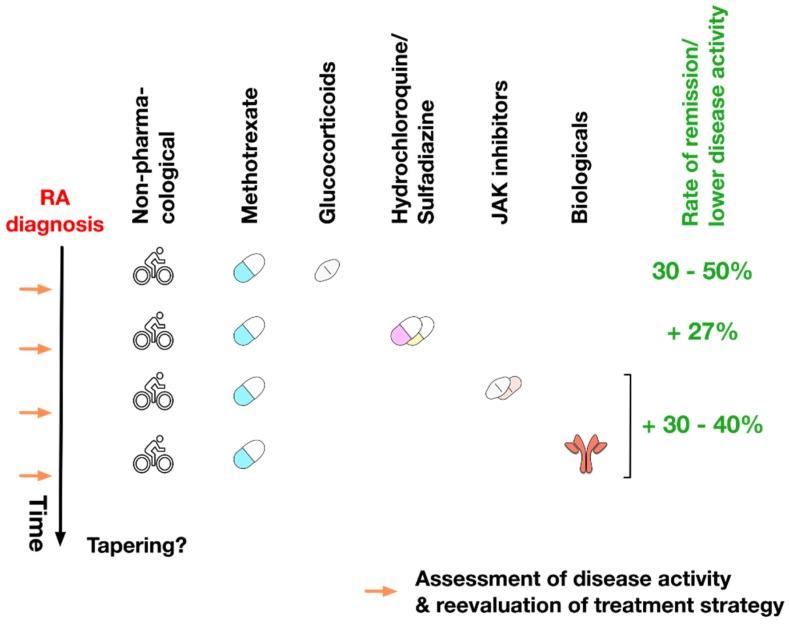 https://cdn.ncbi.nlm.nih.gov/pmc/blobs/6e27/7226834/b7f9189b7753/cells-09-00880-g008.jpg