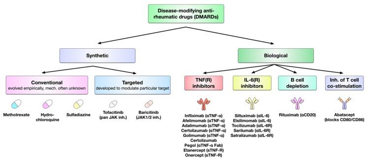 https://cdn.ncbi.nlm.nih.gov/pmc/blobs/6e27/7226834/bc252bcff41a/cells-09-00880-g005.jpg