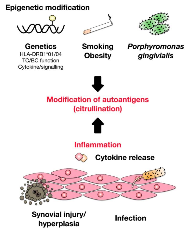 https://cdn.ncbi.nlm.nih.gov/pmc/blobs/6e27/7226834/c0687fe3adbd/cells-09-00880-g001.jpg
