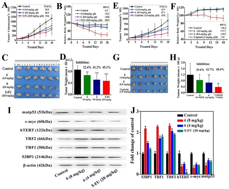 https://cdn.ncbi.nlm.nih.gov/pmc/blobs/6e29/5617480/a59df5172909/oncotarget-08-61982-g005.jpg