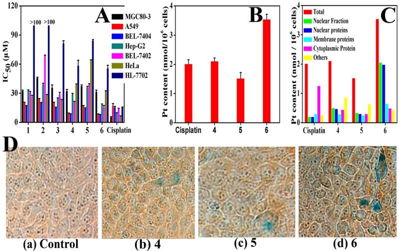 https://cdn.ncbi.nlm.nih.gov/pmc/blobs/6e29/5617480/e1d069bcd8c4/oncotarget-08-61982-g002.jpg