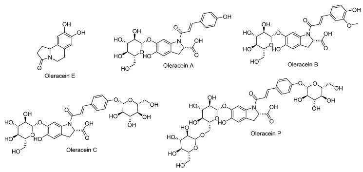https://cdn.ncbi.nlm.nih.gov/pmc/blobs/6e2b/11641252/061125812983/ijms-25-13024-g013.jpg