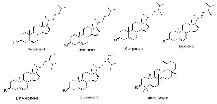 https://cdn.ncbi.nlm.nih.gov/pmc/blobs/6e2b/11641252/25d5f292fcaf/ijms-25-13024-g014.jpg