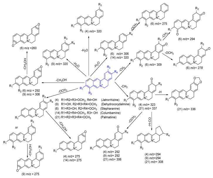 https://cdn.ncbi.nlm.nih.gov/pmc/blobs/6e2b/11641252/2d925e02173e/ijms-25-13024-sch003.jpg