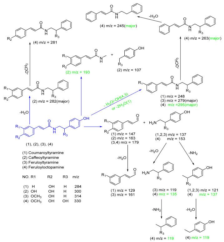 https://cdn.ncbi.nlm.nih.gov/pmc/blobs/6e2b/11641252/71cbb66d095a/ijms-25-13024-sch006.jpg