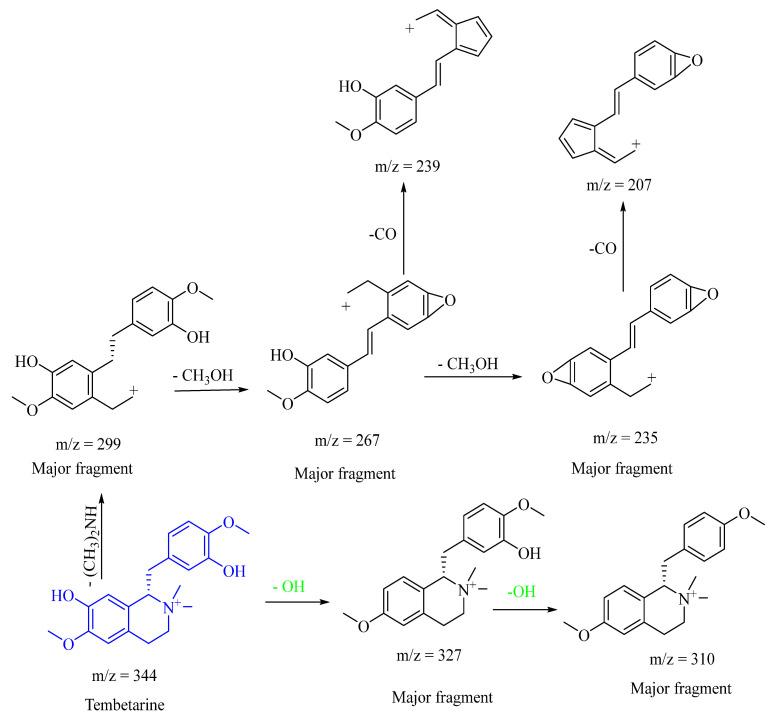 https://cdn.ncbi.nlm.nih.gov/pmc/blobs/6e2b/11641252/995f4fbfb31b/ijms-25-13024-sch005.jpg