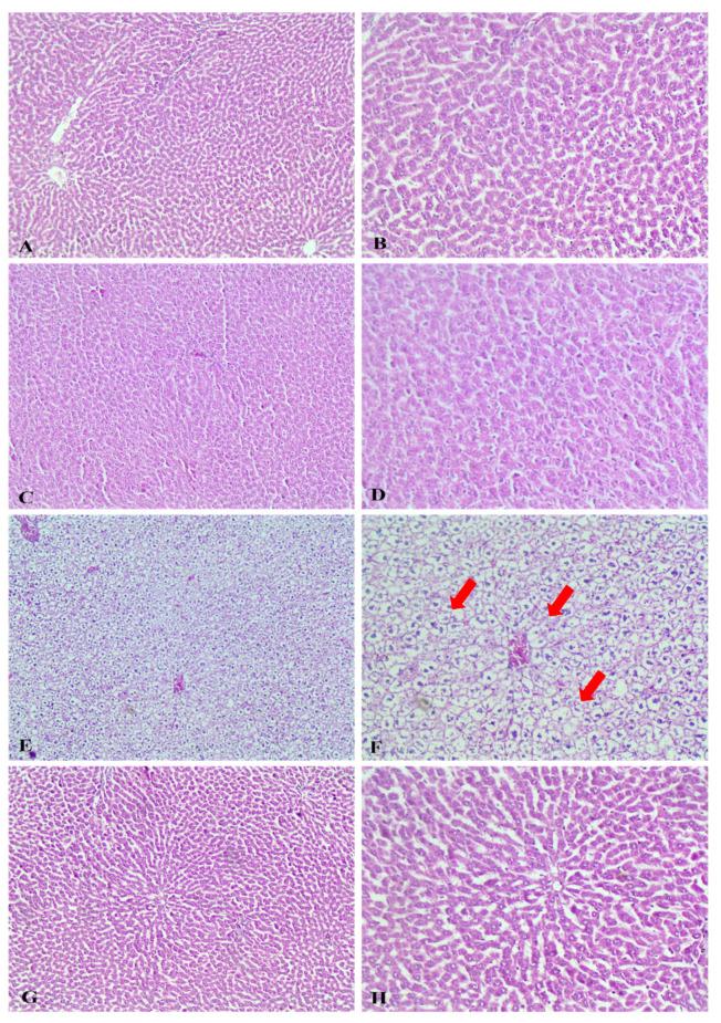 https://cdn.ncbi.nlm.nih.gov/pmc/blobs/6e2b/11641252/bed211eb8ea0/ijms-25-13024-g009.jpg