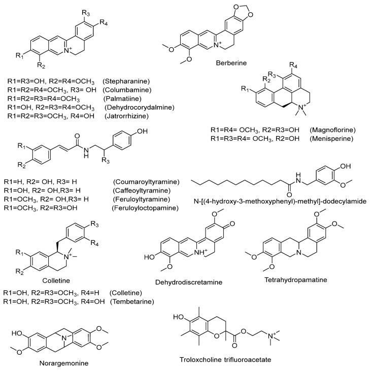 https://cdn.ncbi.nlm.nih.gov/pmc/blobs/6e2b/11641252/cf414d63eec2/ijms-25-13024-g012.jpg