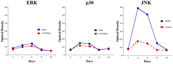 https://cdn.ncbi.nlm.nih.gov/pmc/blobs/6e2b/11672986/436f5e09f44a/bioengineering-11-01223-g002.jpg