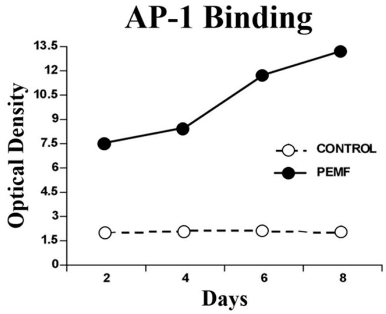https://cdn.ncbi.nlm.nih.gov/pmc/blobs/6e2b/11672986/f4be98d9852f/bioengineering-11-01223-g003.jpg