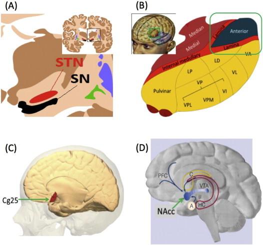 https://cdn.ncbi.nlm.nih.gov/pmc/blobs/6e2b/4473270/93fb346a483c/gr5.jpg