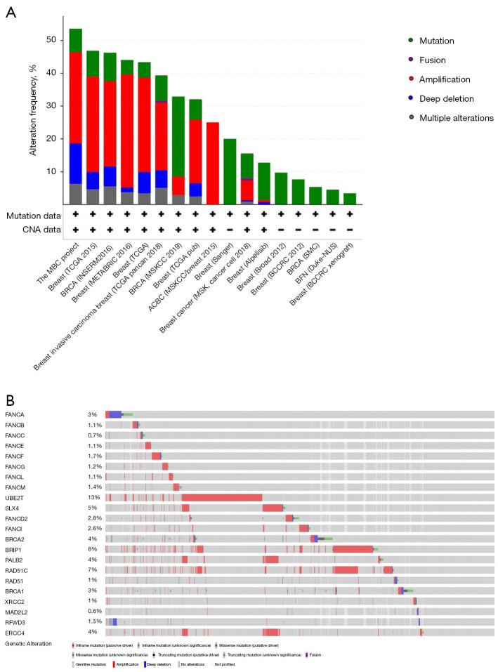 https://cdn.ncbi.nlm.nih.gov/pmc/blobs/6e2c/11912030/e6b787c96c49/tcr-14-02-843-f5.jpg