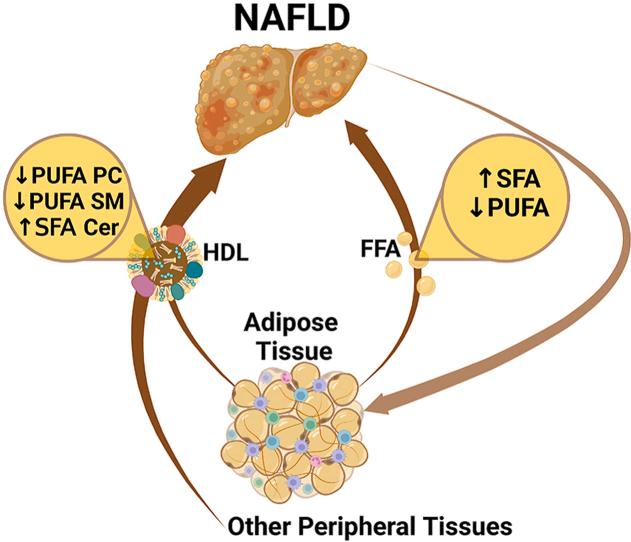 https://cdn.ncbi.nlm.nih.gov/pmc/blobs/6e31/10176260/7fbe9a421b84/ga1.jpg