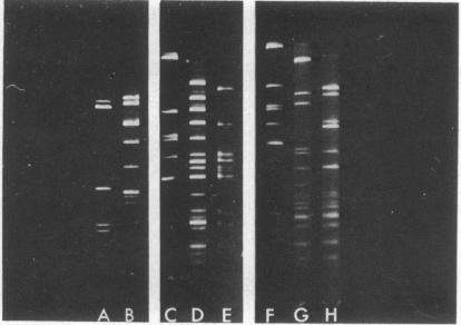 https://cdn.ncbi.nlm.nih.gov/pmc/blobs/6e31/431441/8ca6a8fd6e5f/pnas00042-0064-a.jpg