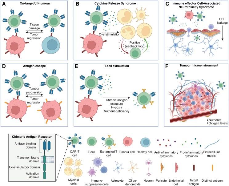 https://cdn.ncbi.nlm.nih.gov/pmc/blobs/6e32/12080554/8d22700cbf56/vdaf059_fig2.jpg