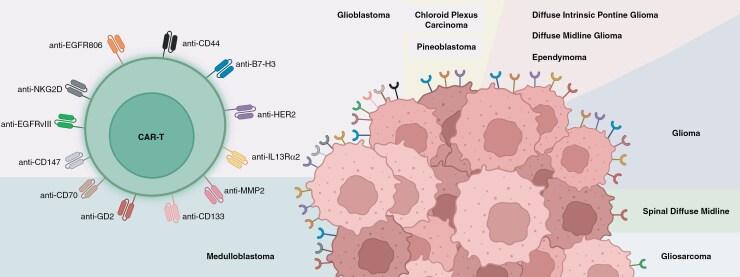 https://cdn.ncbi.nlm.nih.gov/pmc/blobs/6e32/12080554/94cc5e658fd4/vdaf059_fig1.jpg