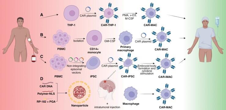 https://cdn.ncbi.nlm.nih.gov/pmc/blobs/6e32/12080554/de514f0050a3/vdaf059_fig4.jpg