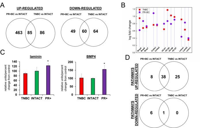 https://cdn.ncbi.nlm.nih.gov/pmc/blobs/6e33/5559168/35ac12c7bb97/aging-09-1660-g001.jpg