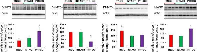 https://cdn.ncbi.nlm.nih.gov/pmc/blobs/6e33/5559168/aac9cdf85910/aging-09-1660-g004.jpg